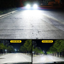 H1-H3 LED Bulbs