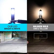 H1-H3 LED Bulbs
