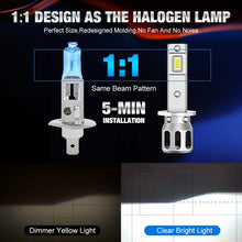 H1-H3 LED Bulbs